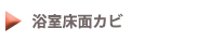 浴室床面カビ