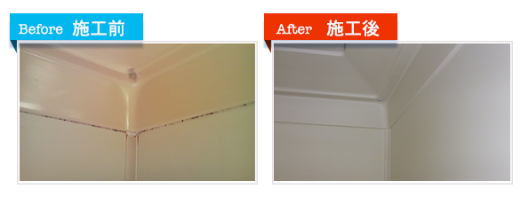 浴室リフォームの決定版「浴室・浴槽塗装」(浴室壁のカビの補修)